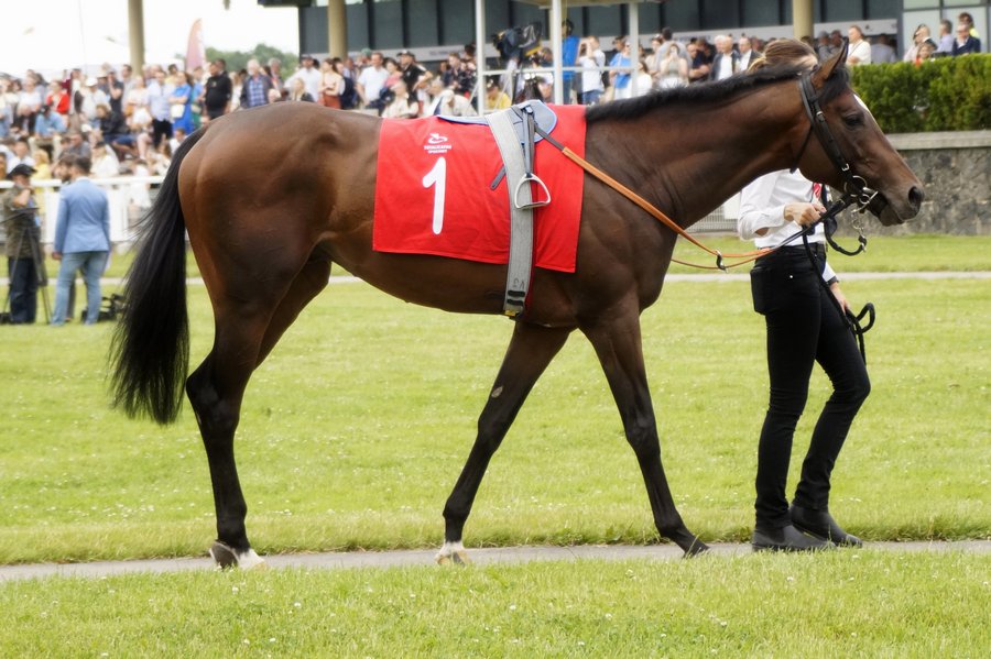 Derby2023