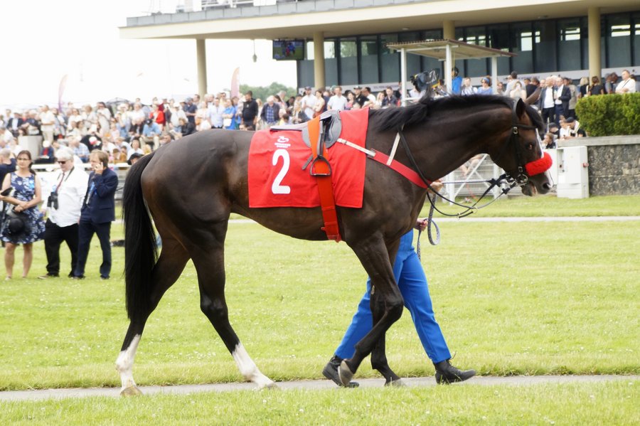 Derby2023