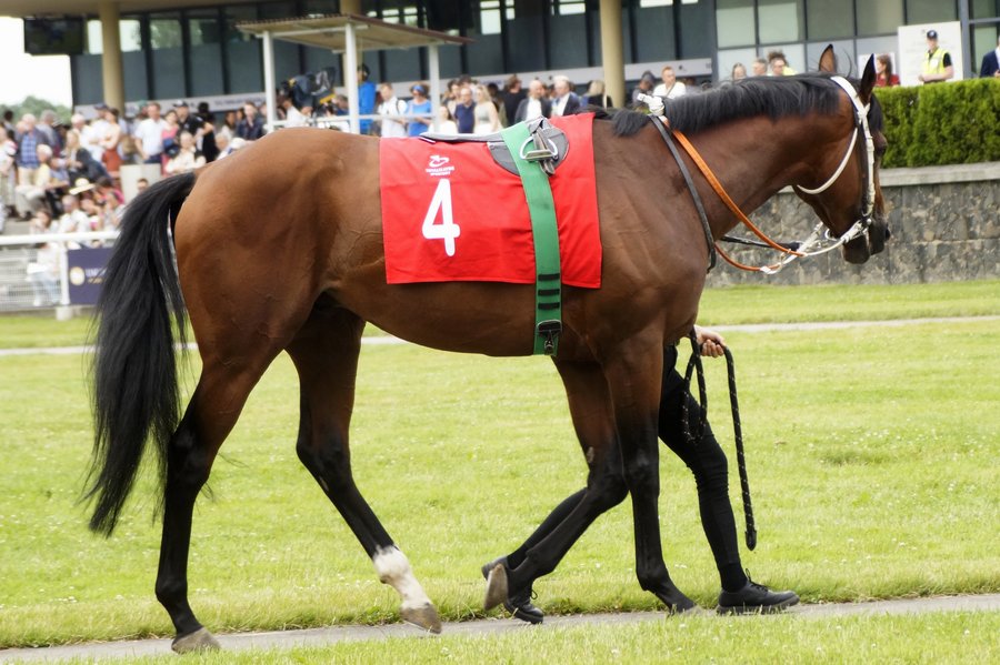 Derby2023