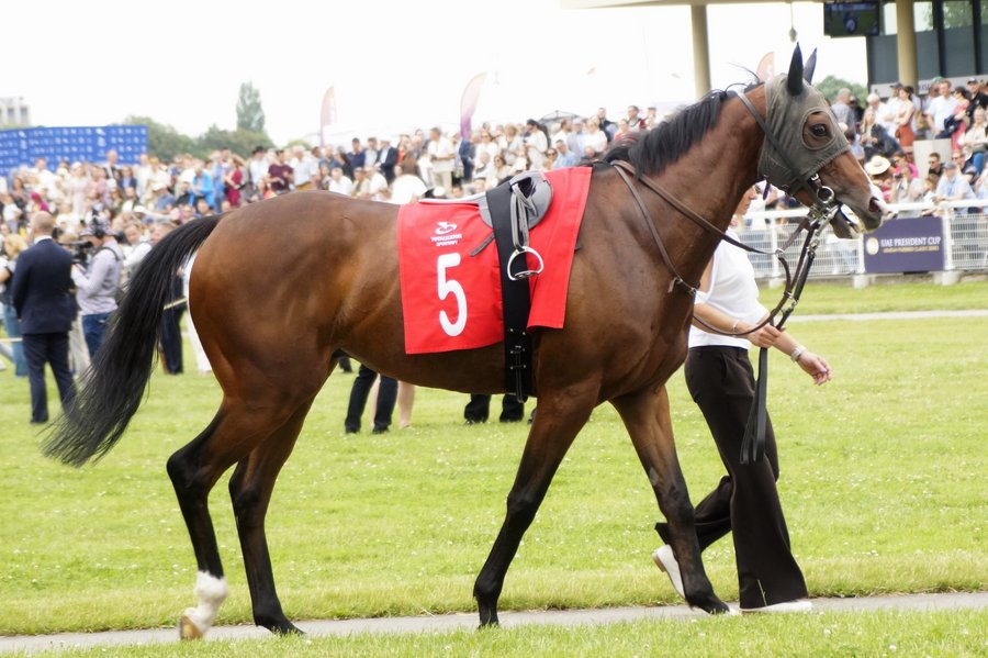 Derby2023