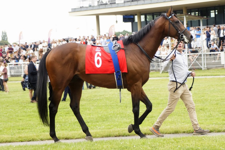 Derby2023