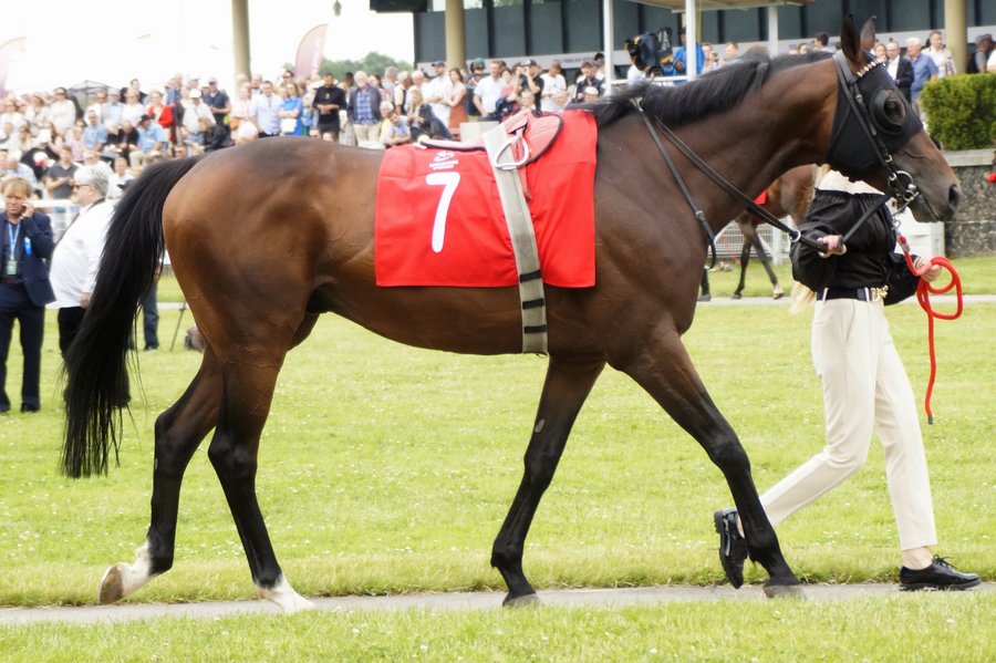 Derby2023