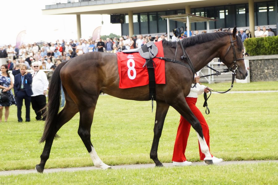 Derby2023