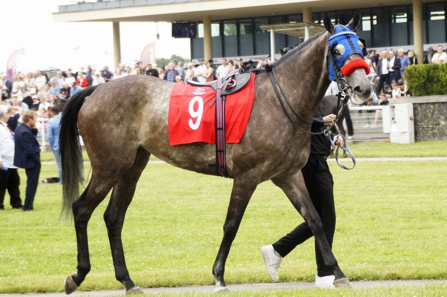 Derby2023