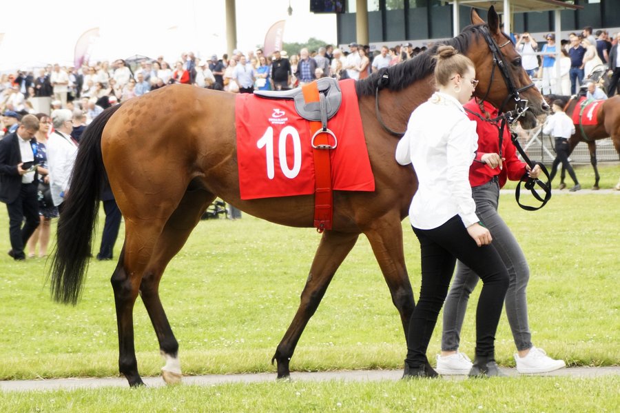 Derby2023