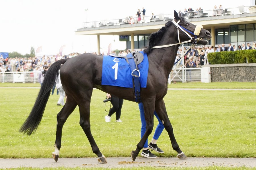 Derby2023
