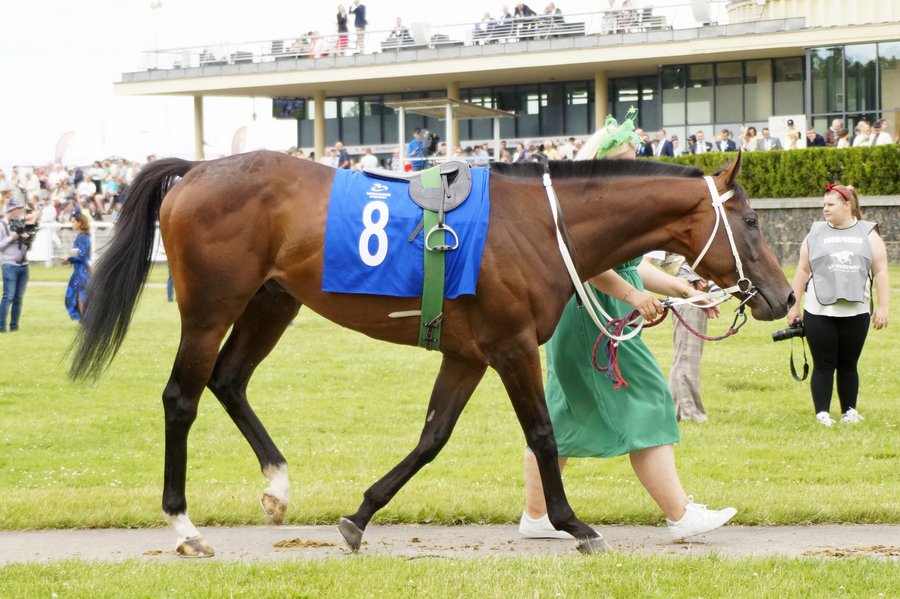 Derby2023