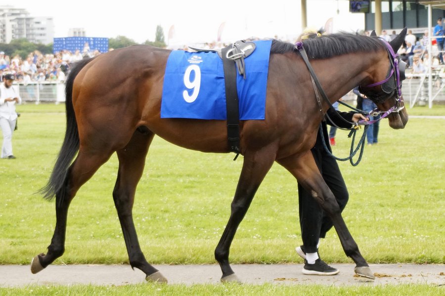 Derby2023