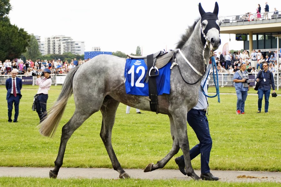 Derby2023