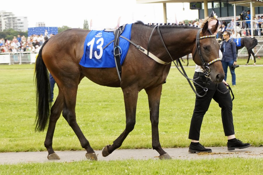 Derby2023