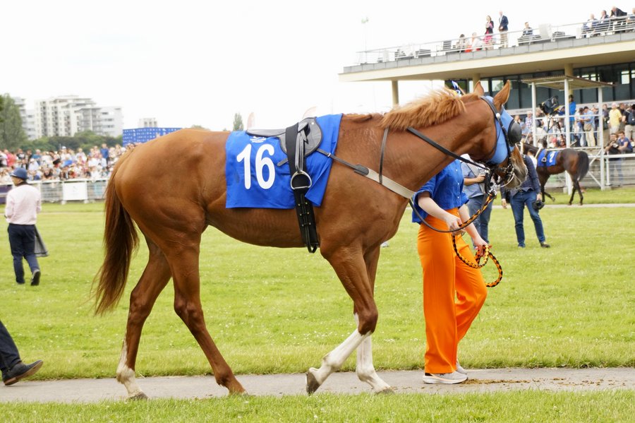 Derby2023