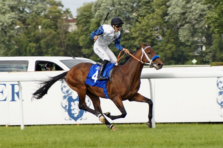 Derby2023