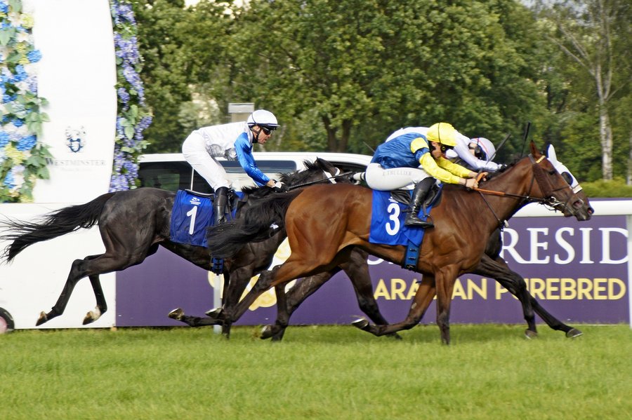 Derby2023