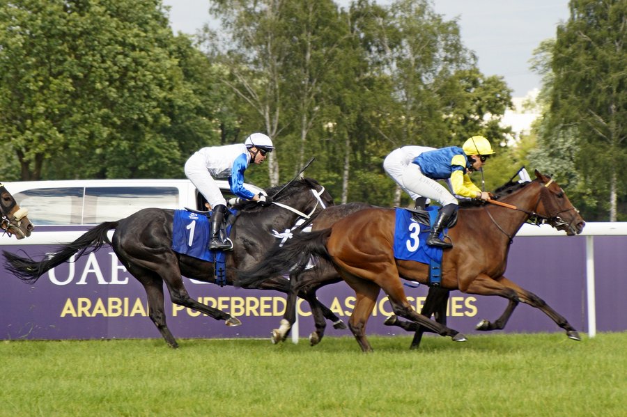 Derby2023