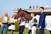 DSC00315.JPG