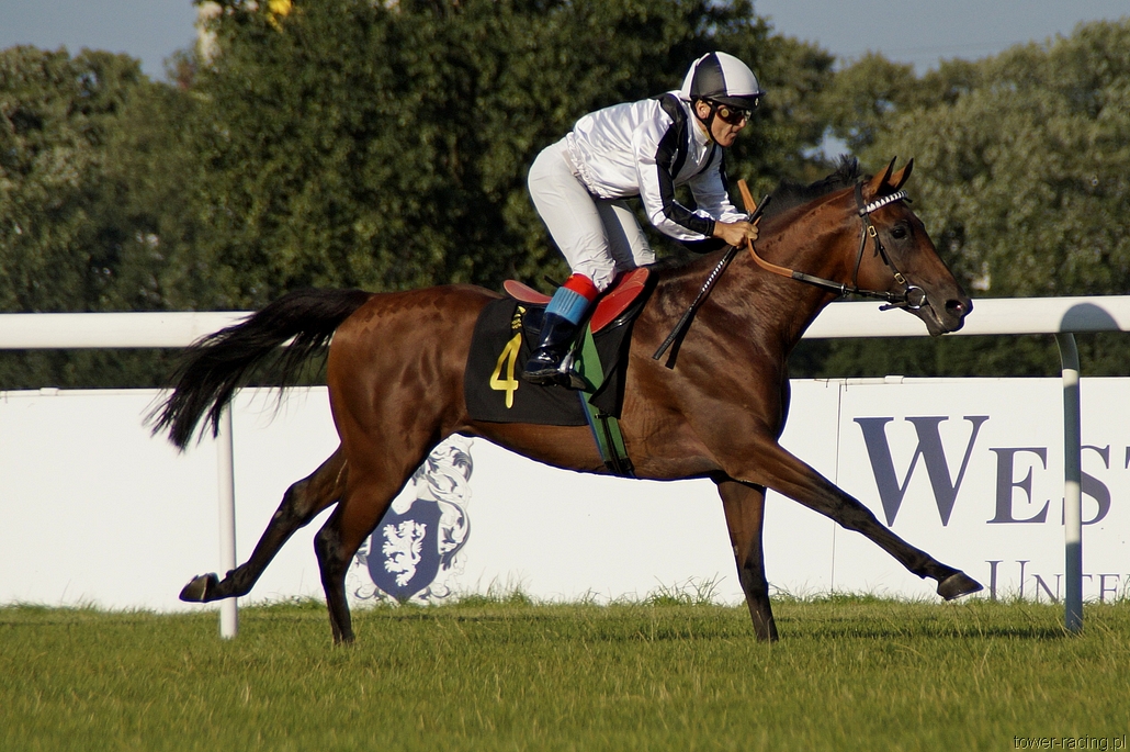 _DSC0068.JPG