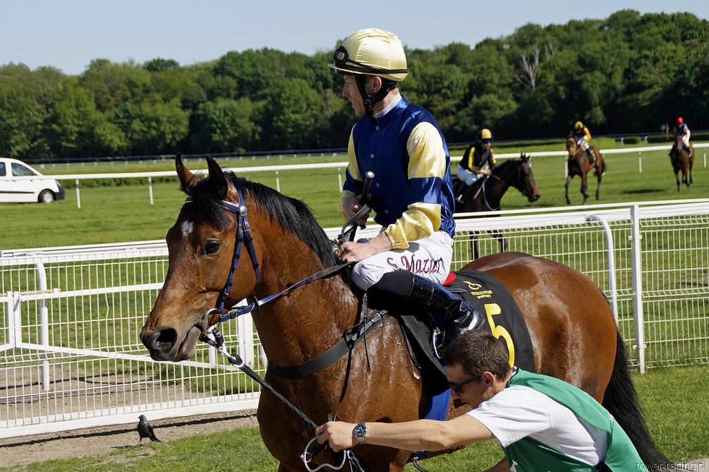 _DSC0103.JPG