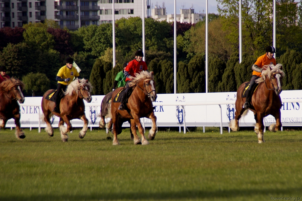 _DSC0188.JPG