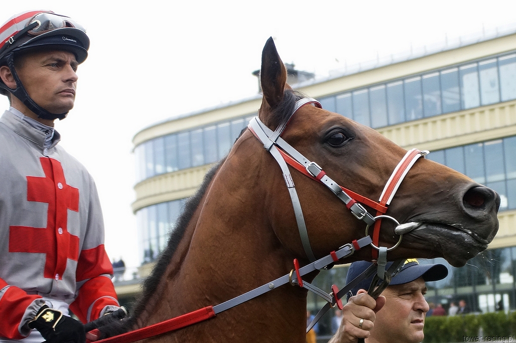 _DSC0096.JPG