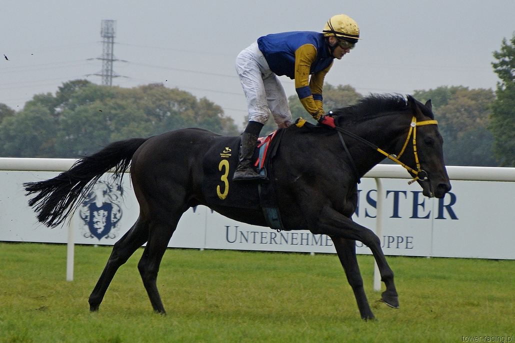 _DSC0233.JPG
