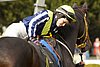 _DSC0278.JPG