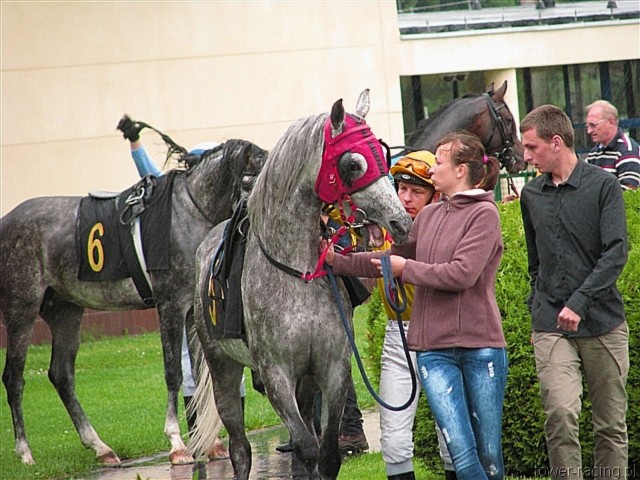 image_10.jpg