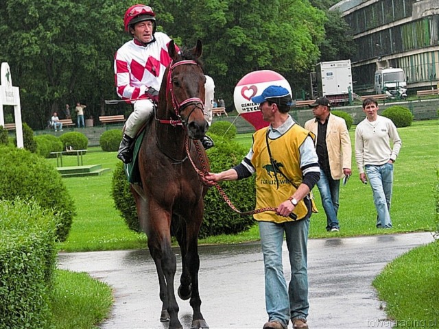 image_100.jpg