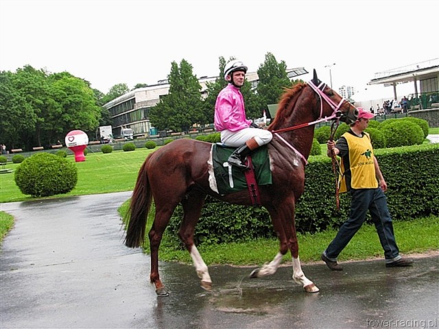 image_105.jpg