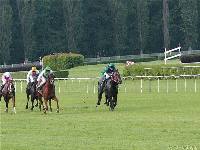image_106.jpg