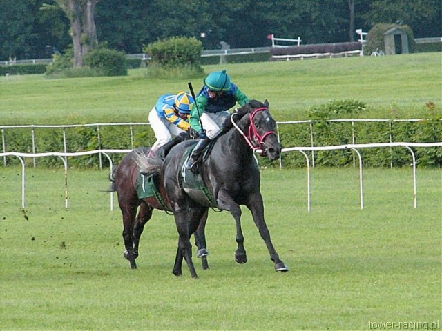 image_107.jpg