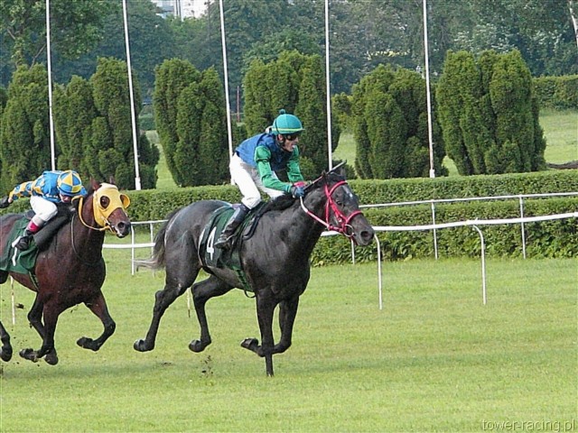 image_108.jpg