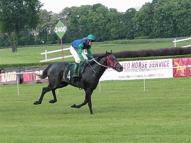 image_109.jpg