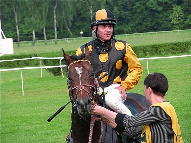 image_116.jpg