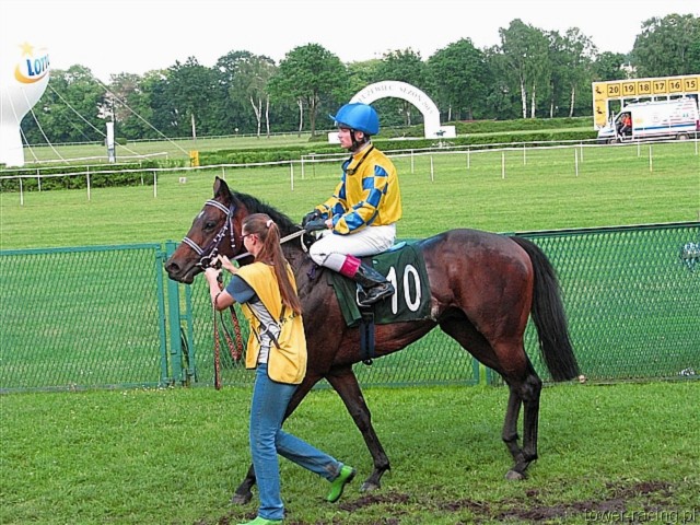 image_119.jpg