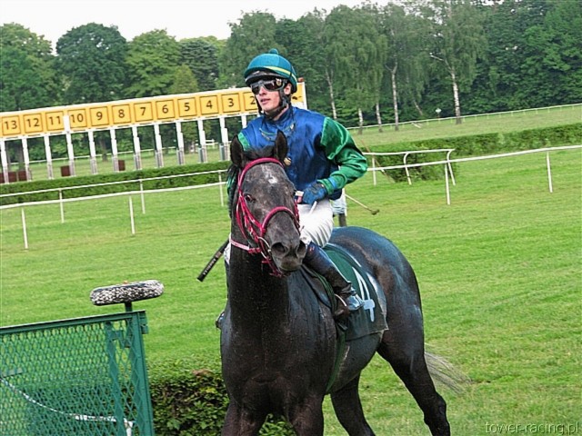 image_121.jpg