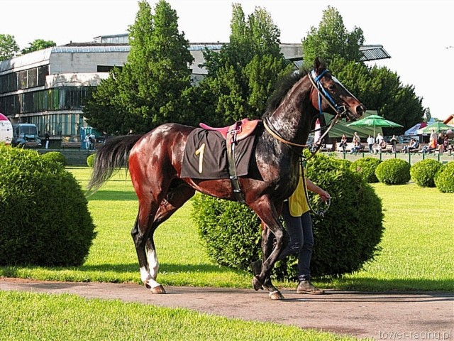 image_128.jpg