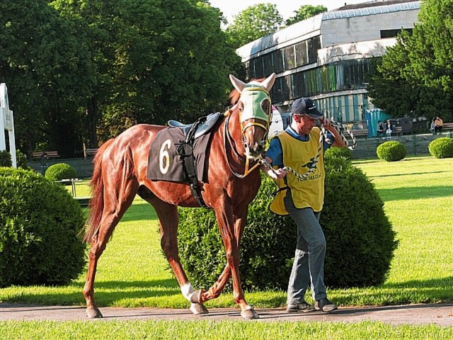 image_132.jpg