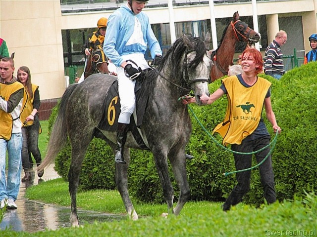 image_14.jpg