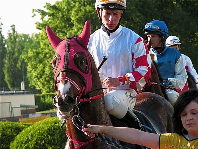 image_140.jpg