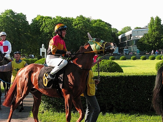 image_142.jpg