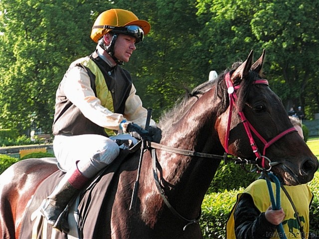 image_145.jpg