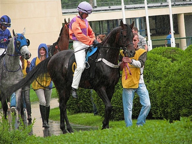 image_15.jpg