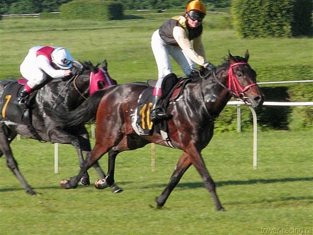 image_152.jpg