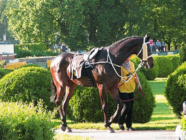 image_154.jpg