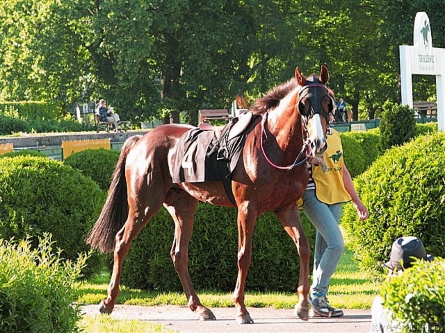 image_155.jpg