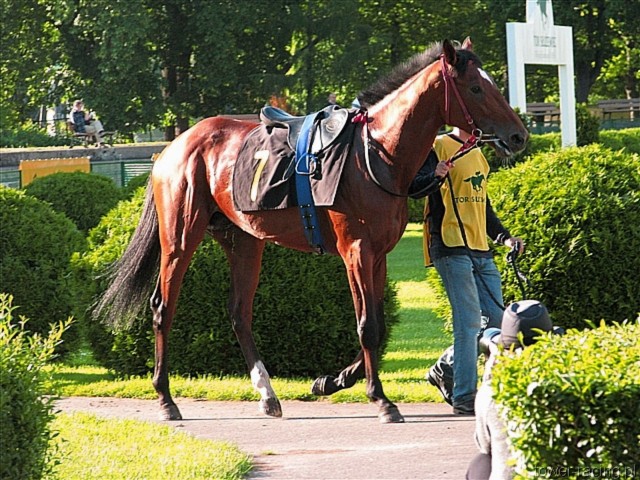 image_157.jpg