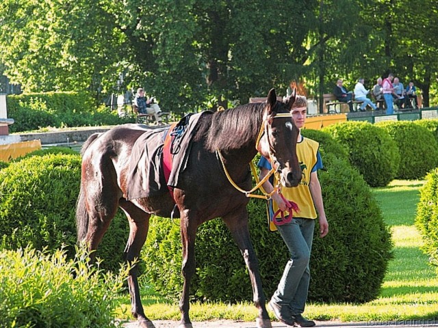 image_158.jpg