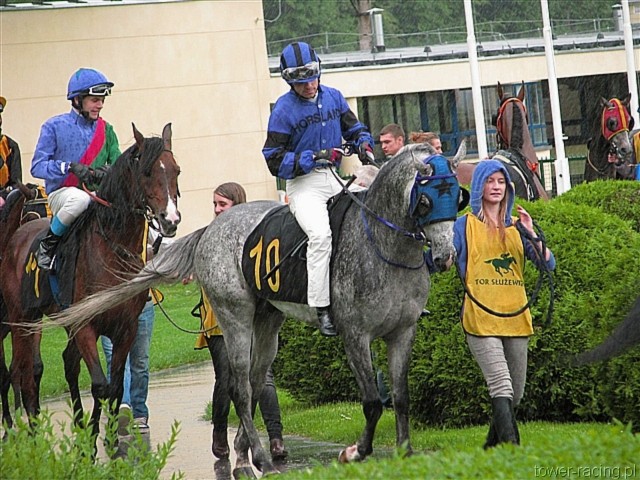 image_16.jpg