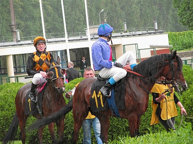 image_17.jpg