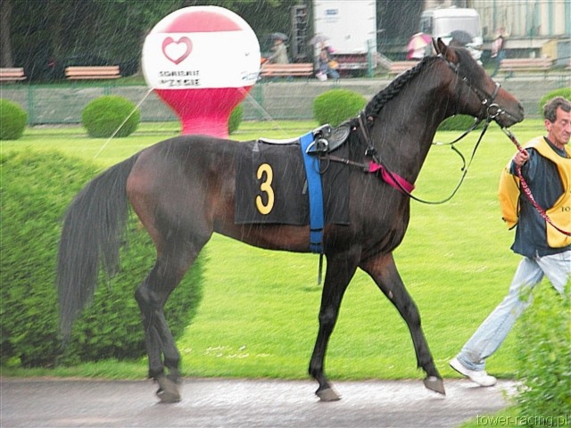 image_2.jpg